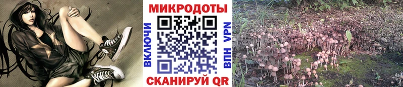 Галлюциногенные грибы MAGIC MUSHROOMS  Купить  Юхнов